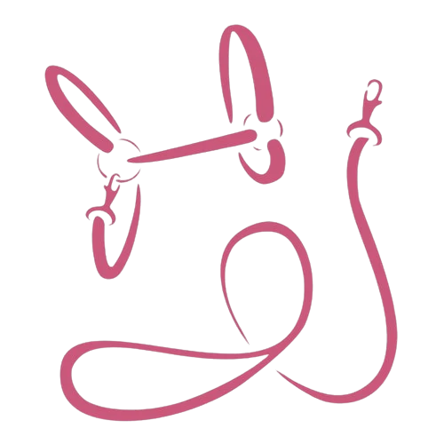 Simple line art of a horse halter and lead rope in pink, shown against a light background. The halter and rope are arranged loosely to display their shapes clearly.