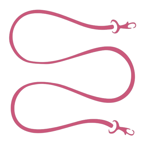 Two pink dog leashes are arranged in a loose, wavy pattern on a light background, with metal clasps visible at each end.