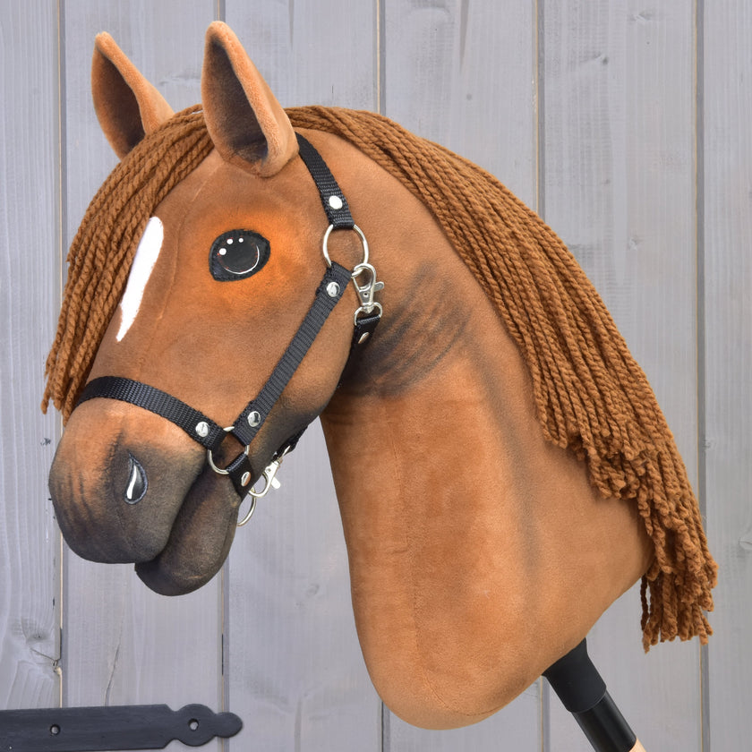 Hobby Horse Pippa with black halter and braided mane
