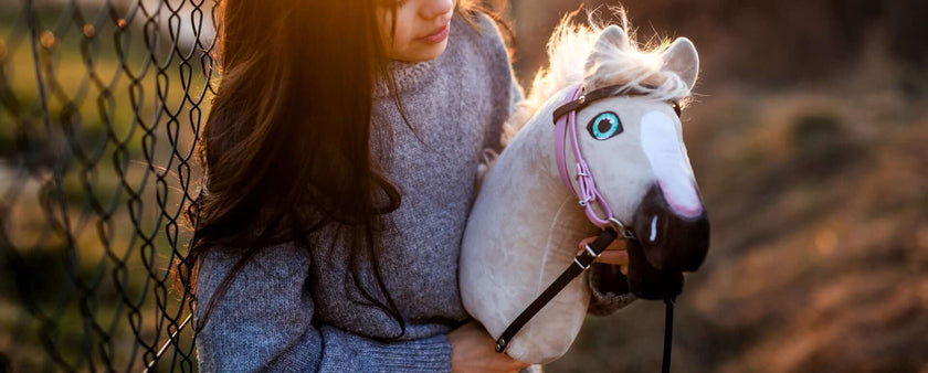 A person with long dark hair and a gray sweater holds a Hobby Horse with a pink bridle, standing outdoors near a chain-link fence at sunset.