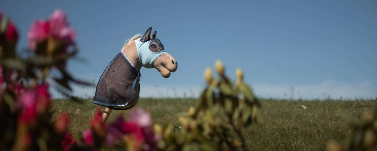 Hobby Horse Masks