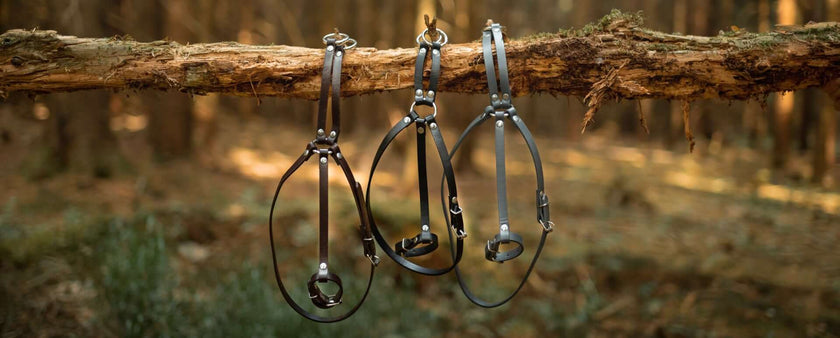 Three leather dog harnesses and a Hobby Horse hang from a horizontal tree branch in a forest, with sunlight filtering through the trees in the background.