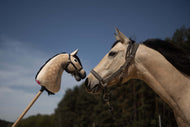 Een echt paard met een halster raakt buiten met de neus een beige Hobby Horse LarDen "Hobby Horse gebaseerd op jouw foto" aan; op de achtergrond zijn bomen en een blauwe lucht te zien.