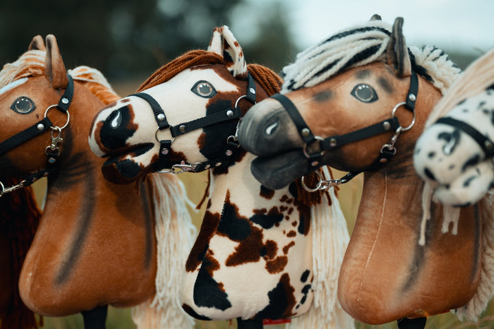 US Hobby Horse Championships 2026: het grootste Hobby Horse-evenement van Amerika komt eraan
