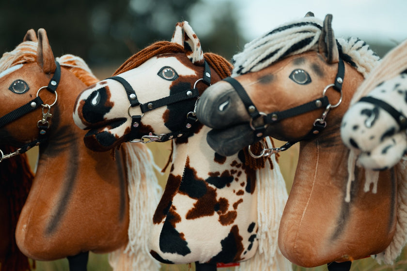 US Hobby Horse Championships 2026: het grootste Hobby Horse-evenement van Amerika komt eraan