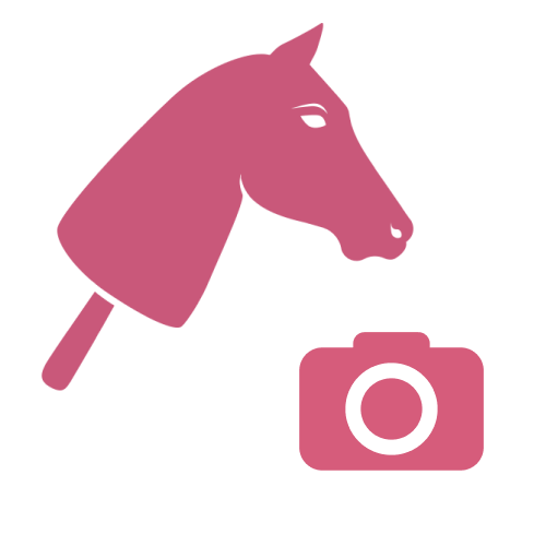 Hobby Horse Based on Your Photo