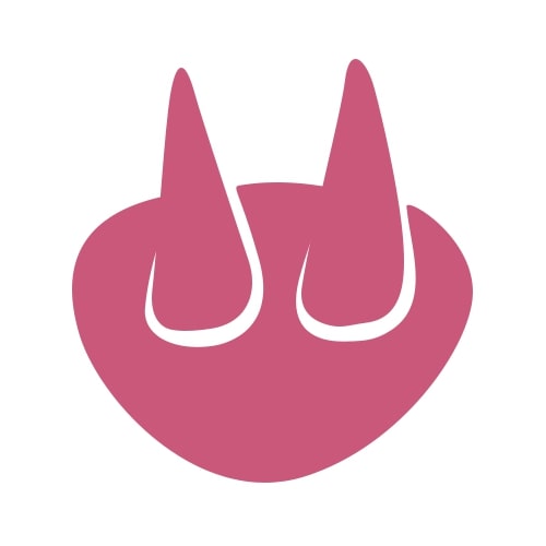 A simple pink graphic of an oval shape with two cone-like points sticking up, resembling abstract horns or an animal nose on a white background.