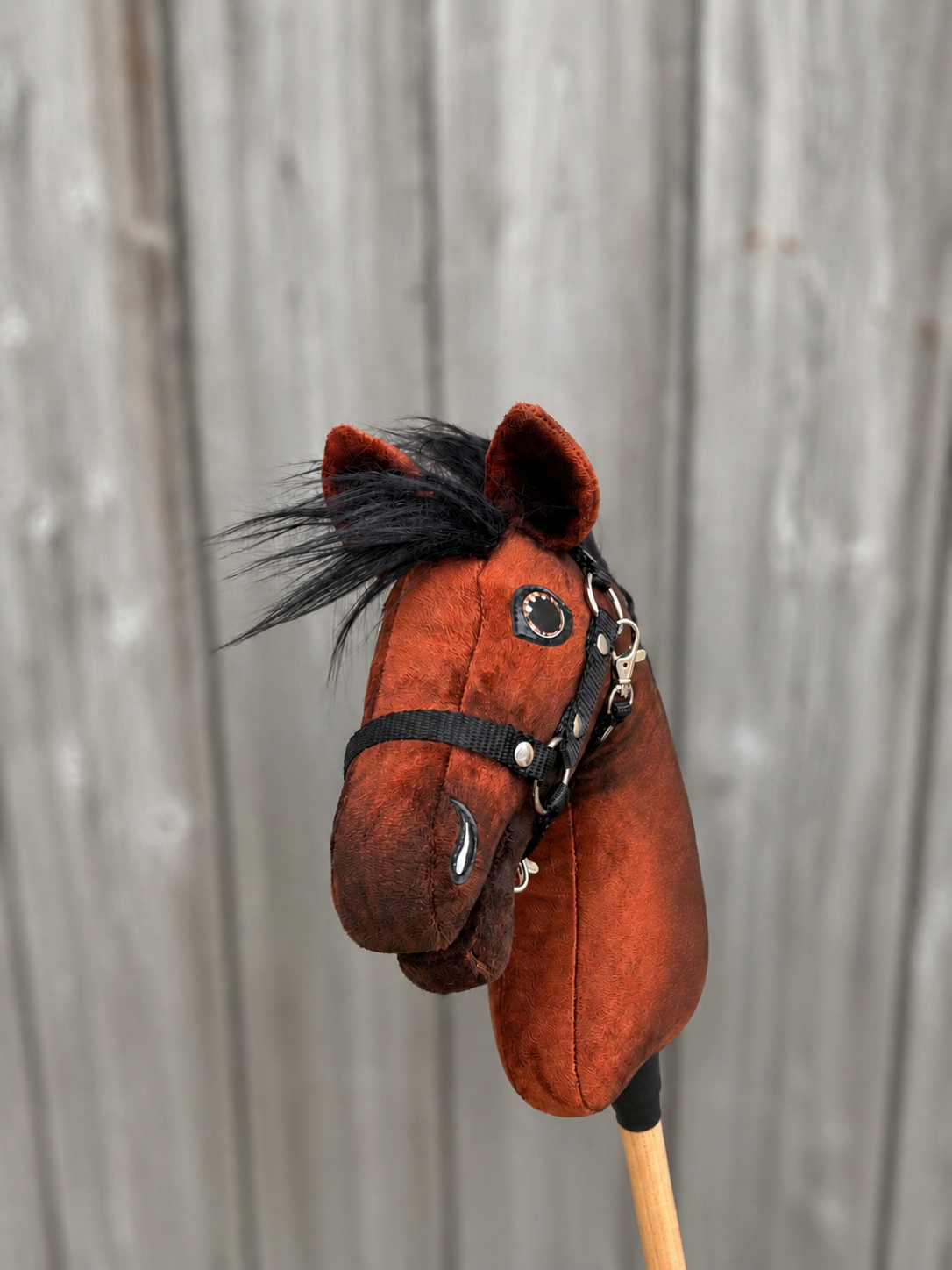Hobby Horse Benny met Zwart Halster - maat XS