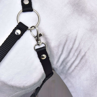 Hobby Horse Elektra with Black Halter