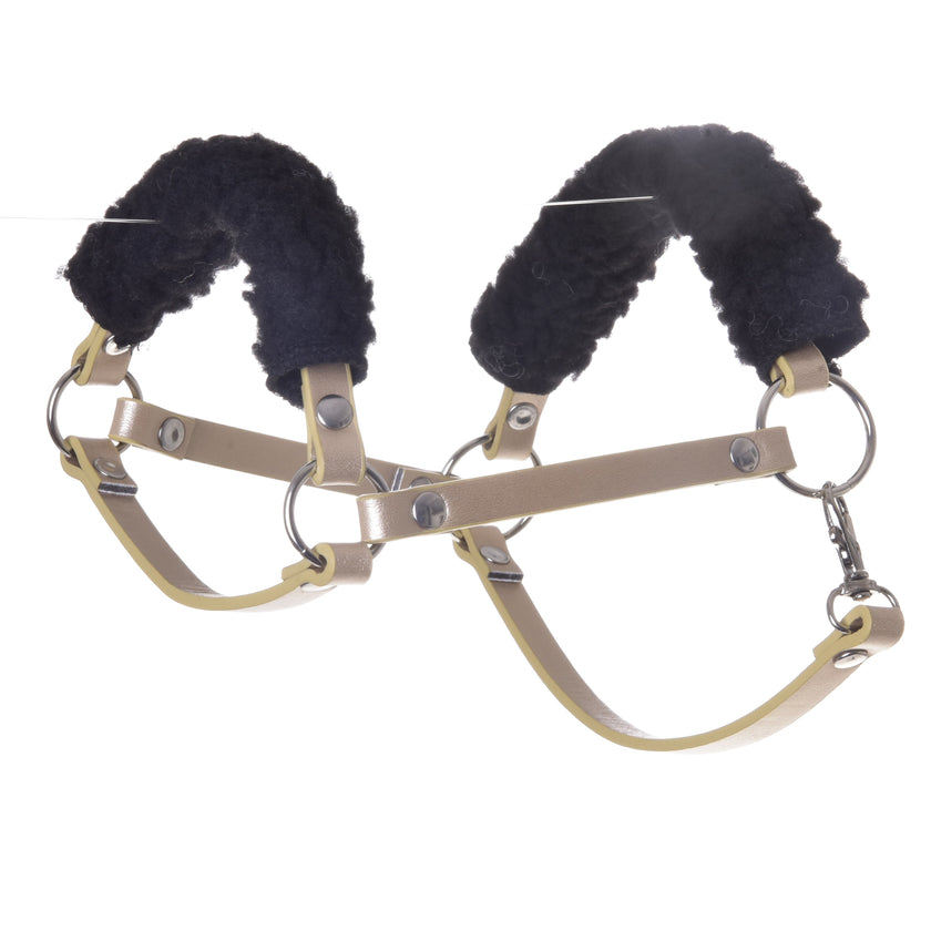 Gouden halster met zwarte vacht - kunstleer (maat M)