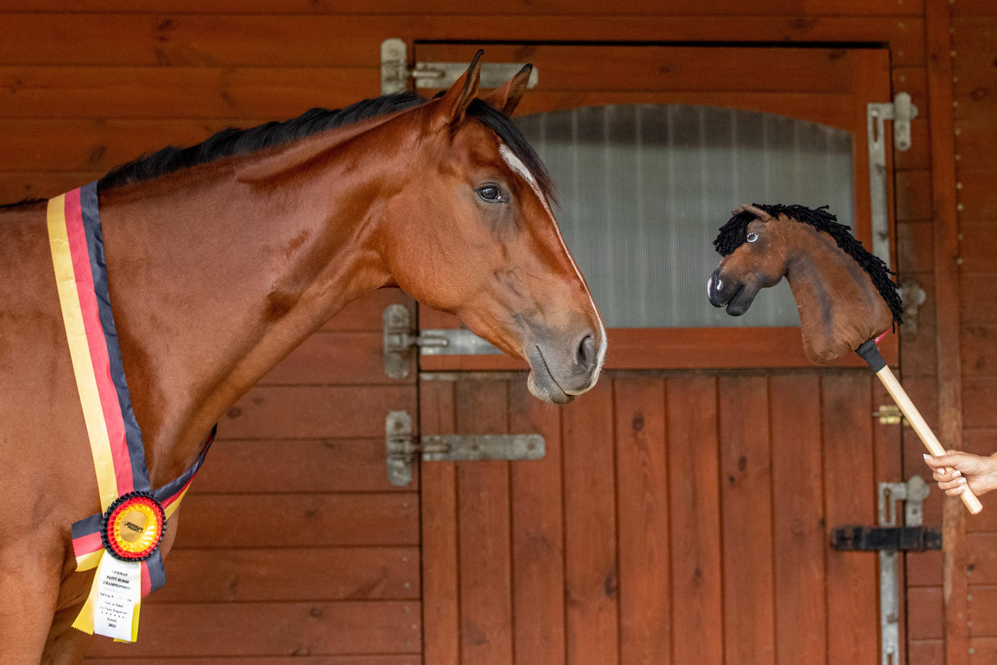 Hobby Horse gebaseerd op jouw foto