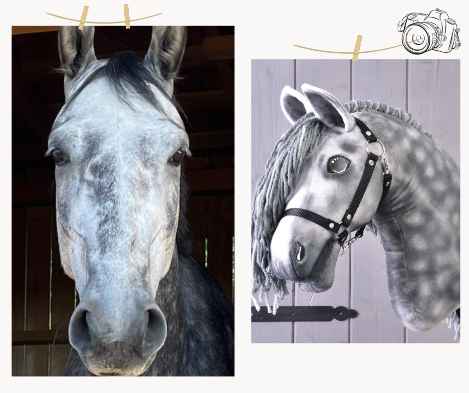 Hobby Horse gebaseerd op jouw foto