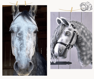 Hobby Horse based on your photo