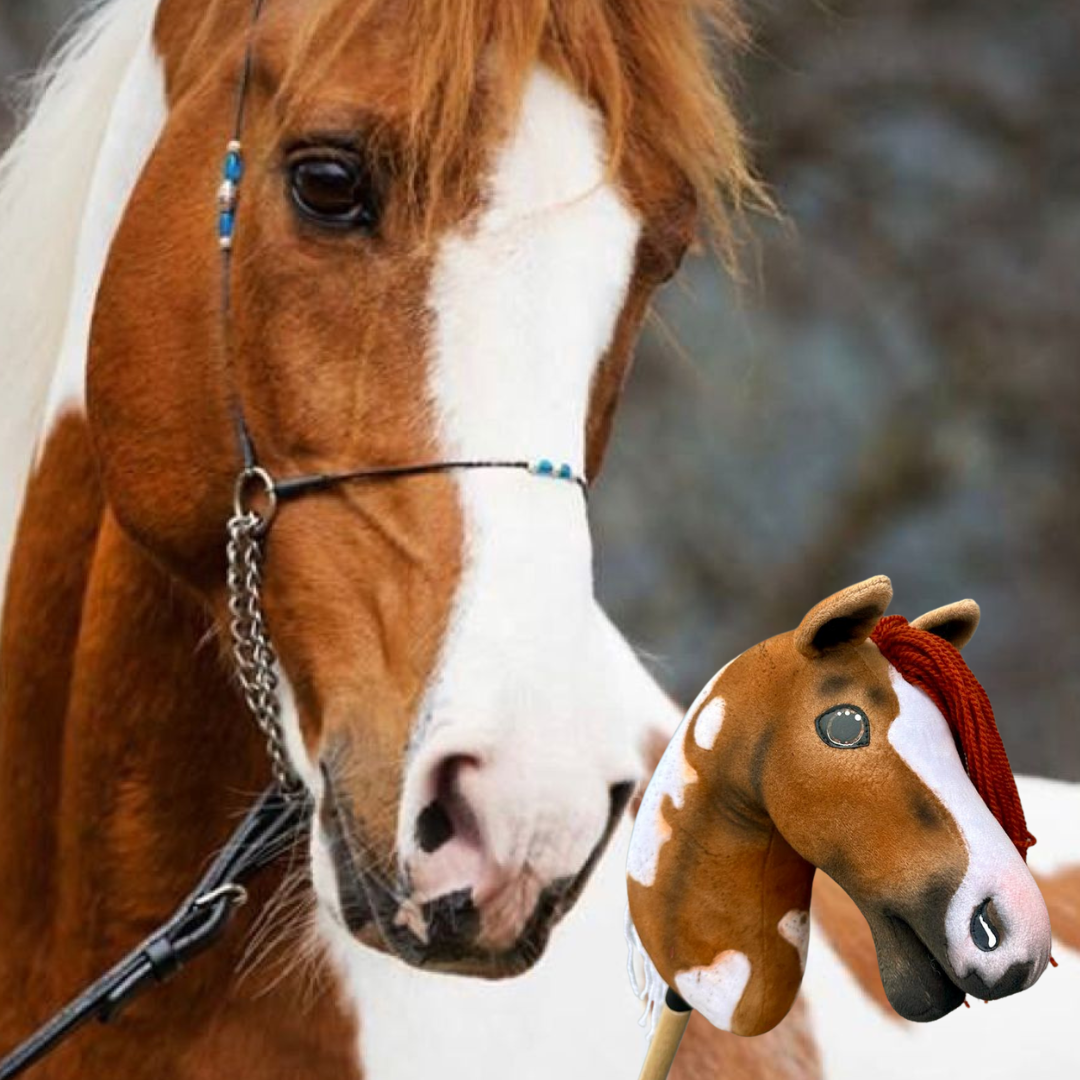 Hobby Horse gebaseerd op jouw foto