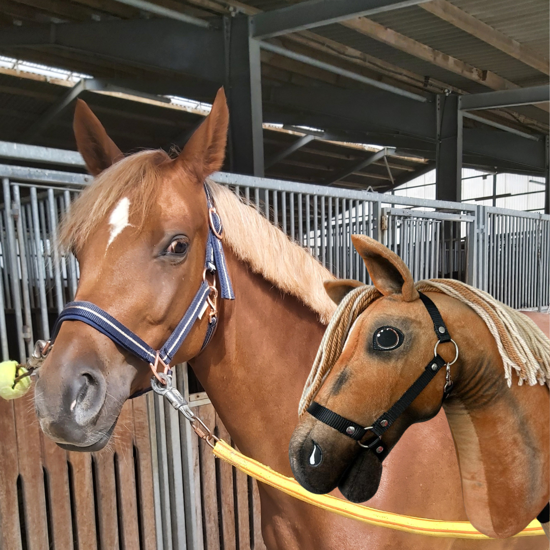 Hobby Horse gebaseerd op jouw foto