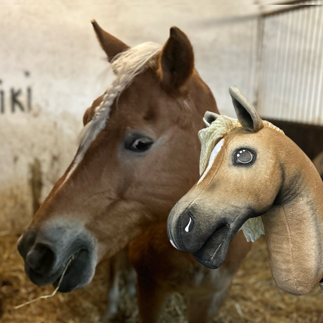 Hobby Horse gebaseerd op jouw foto