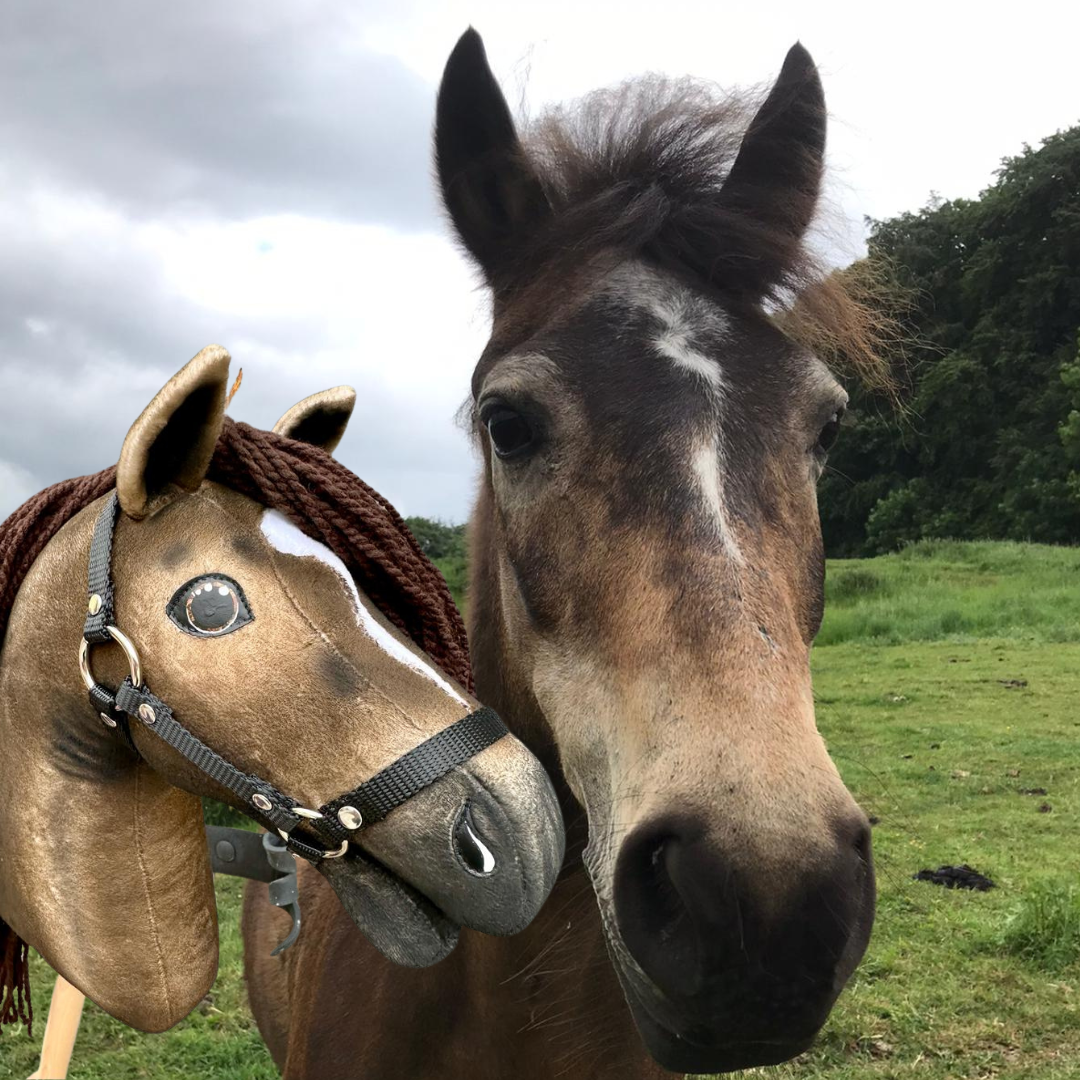 Hobby Horse gebaseerd op jouw foto