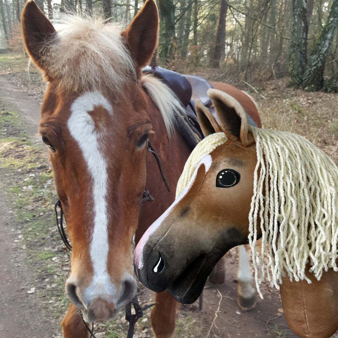 Hobby Horse gebaseerd op jouw foto