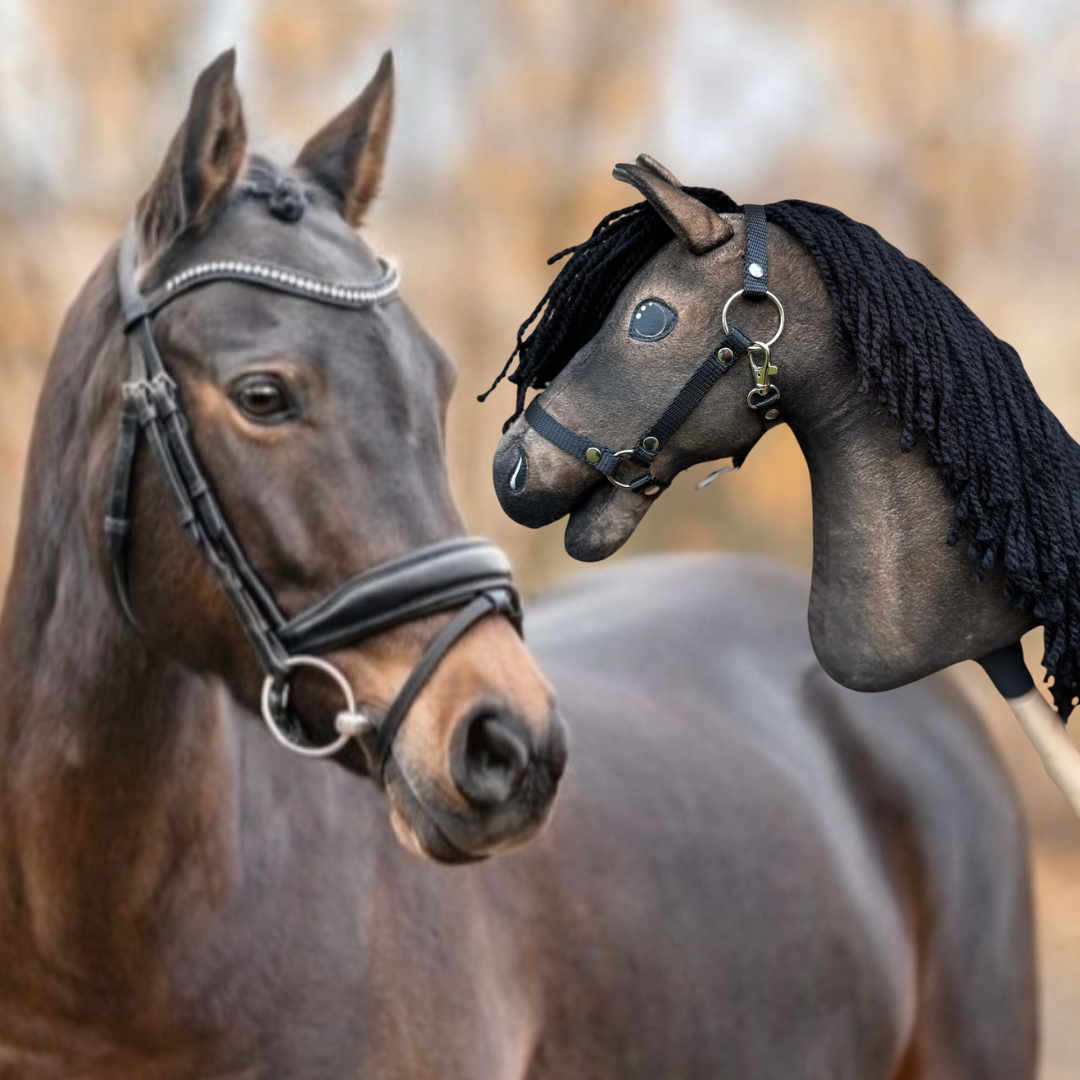 Hobby Horse gebaseerd op jouw foto