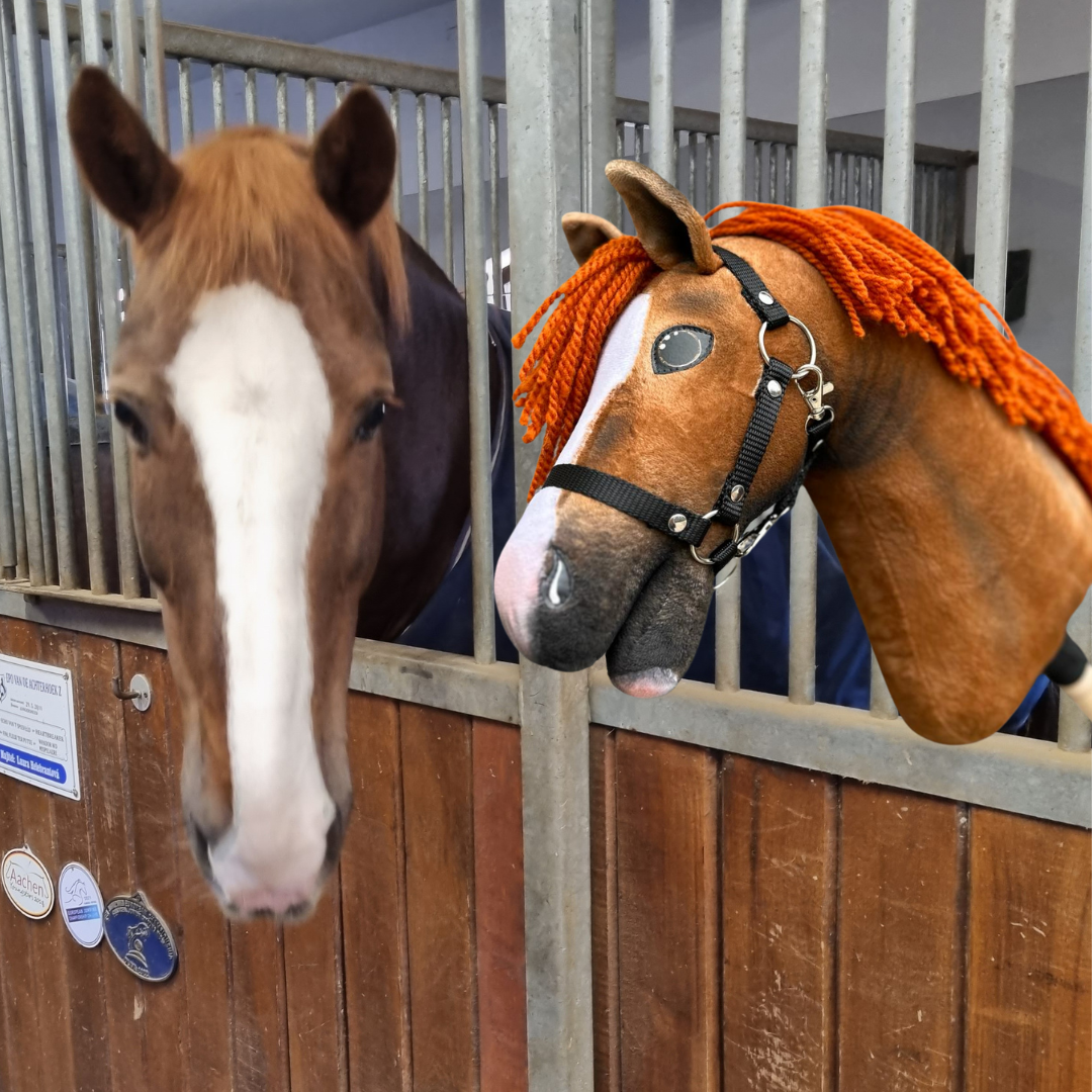 Hobby Horse gebaseerd op jouw foto