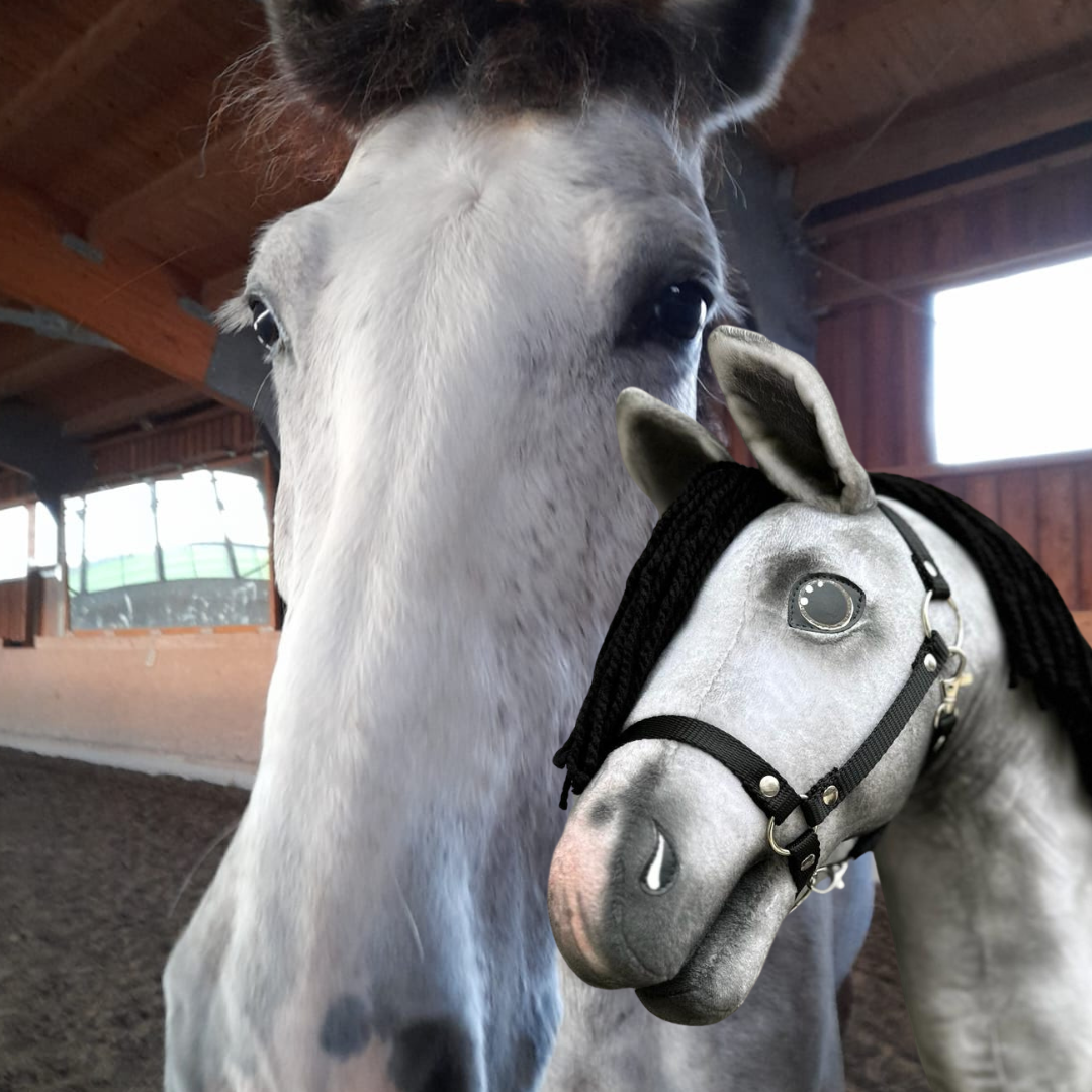 Hobby Horse gebaseerd op jouw foto