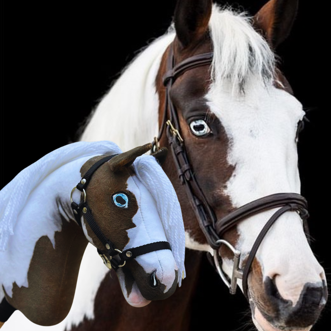 Hobby Horse gebaseerd op jouw foto