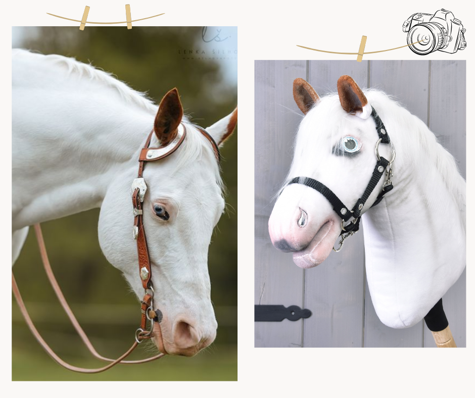 Hobby Horse gebaseerd op jouw foto