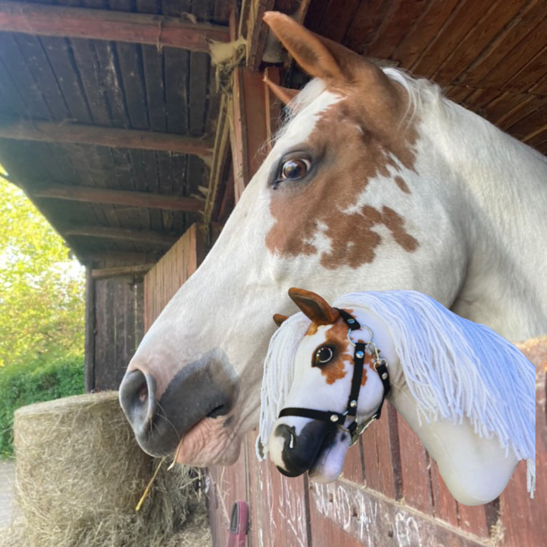 Hobby Horse gebaseerd op jouw foto