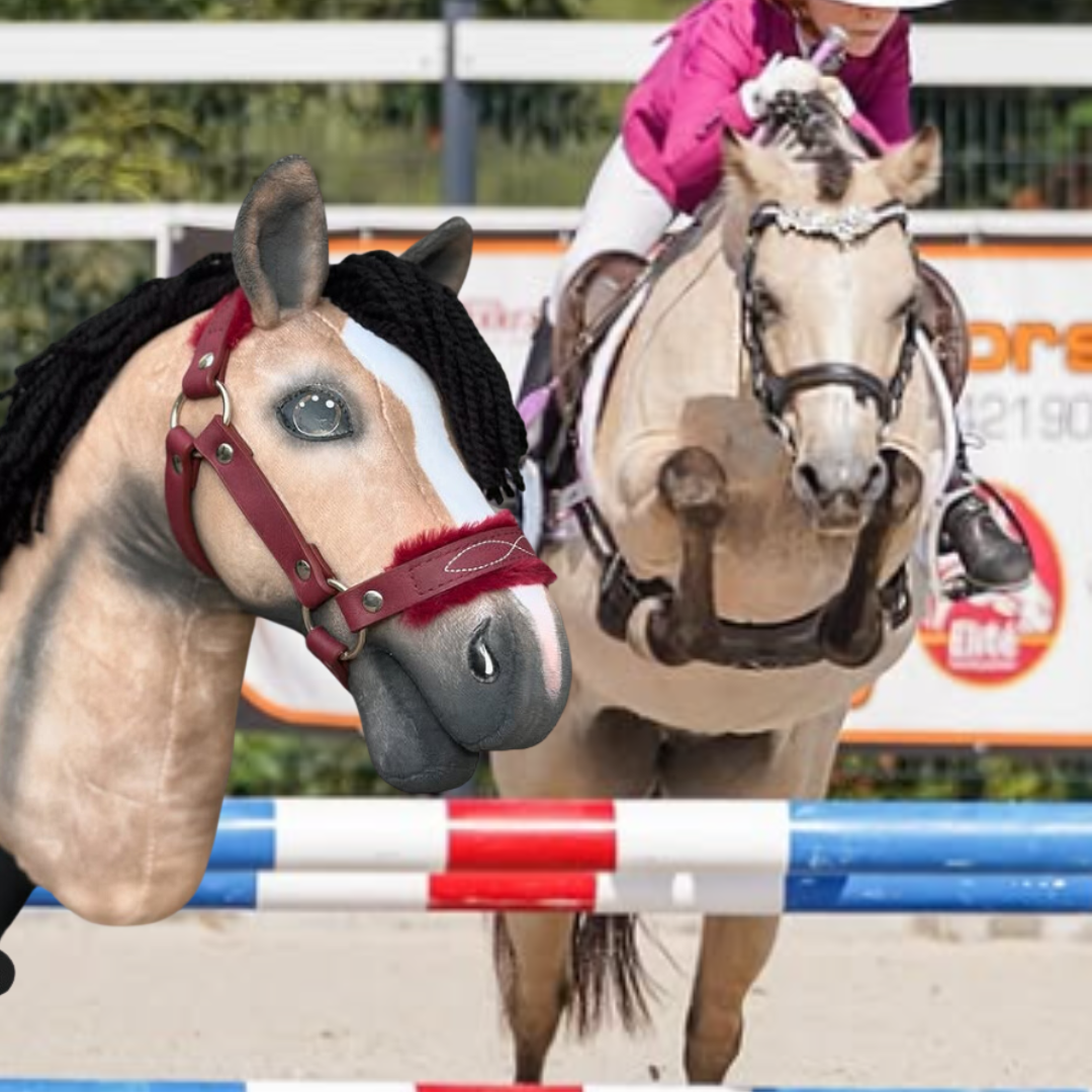 Hobby Horse gebaseerd op jouw foto