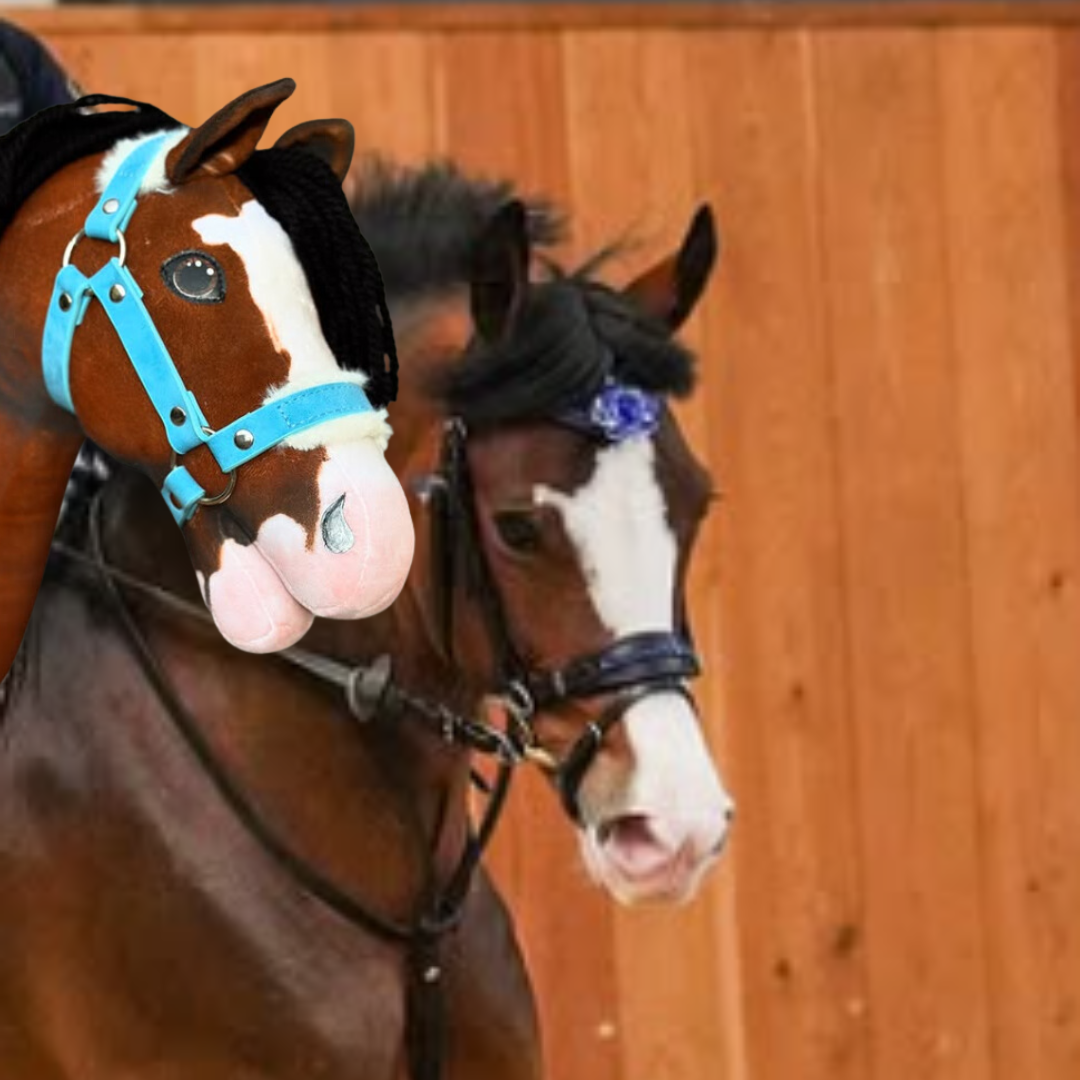 Hobby Horse gebaseerd op jouw foto