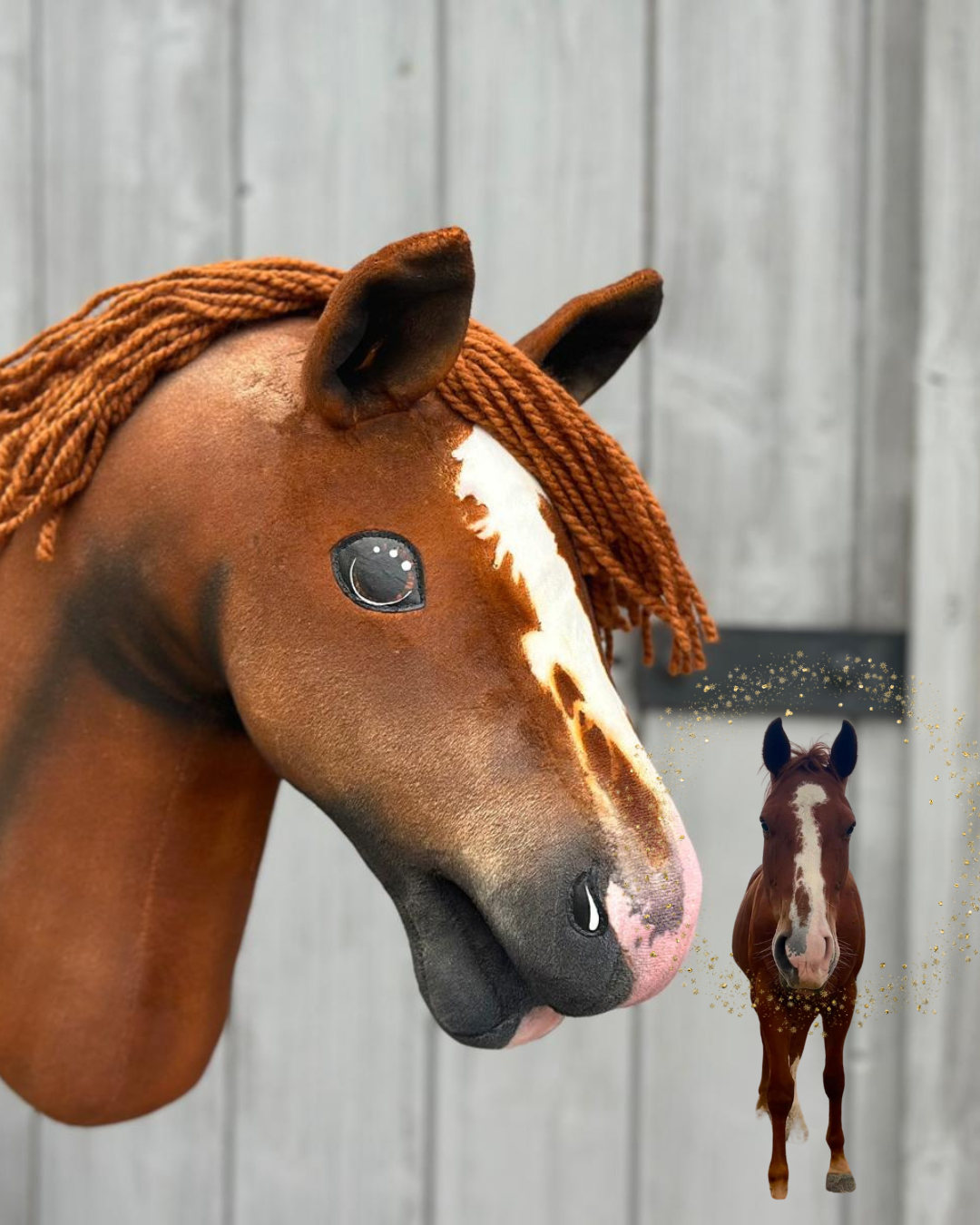 Hobby Horse gebaseerd op jouw foto
