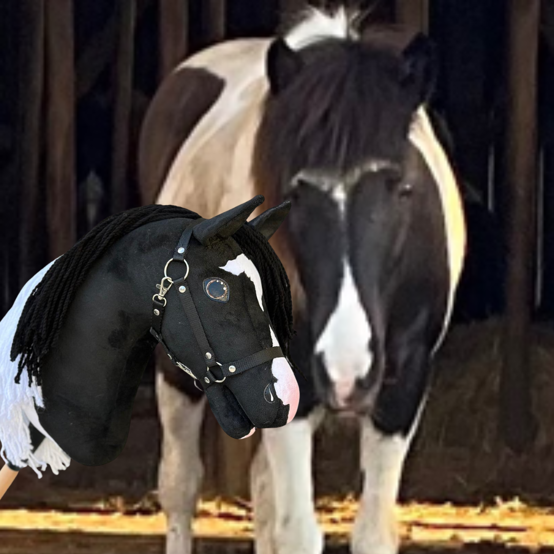 Hobby Horse gebaseerd op jouw foto