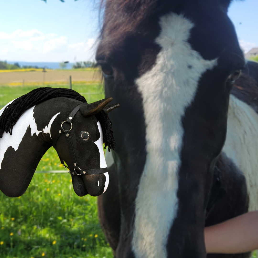 Hobby Horse gebaseerd op jouw foto