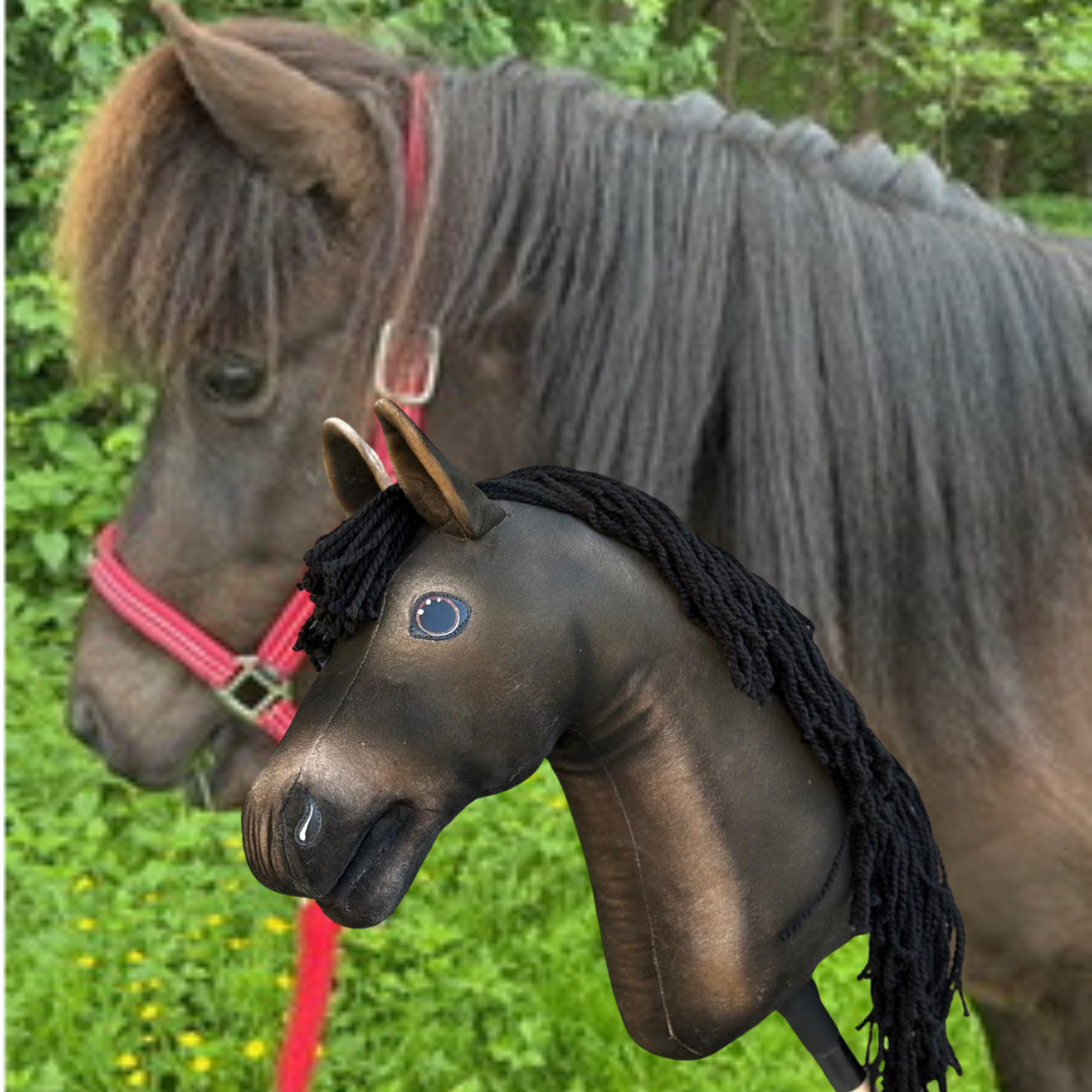 Hobby Horse gebaseerd op jouw foto