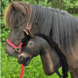 Hobby Horse based on your photo