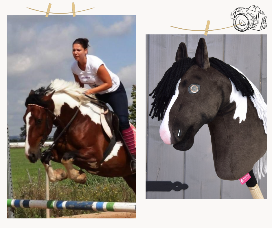 Hobby Horse gebaseerd op jouw foto