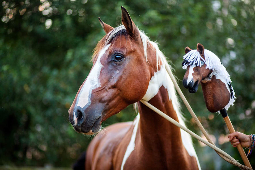 Hobby Horse gebaseerd op jouw foto