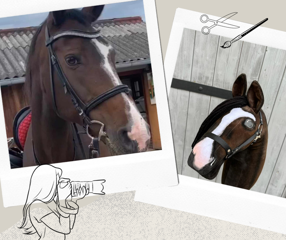 Hobby Horse gebaseerd op jouw foto