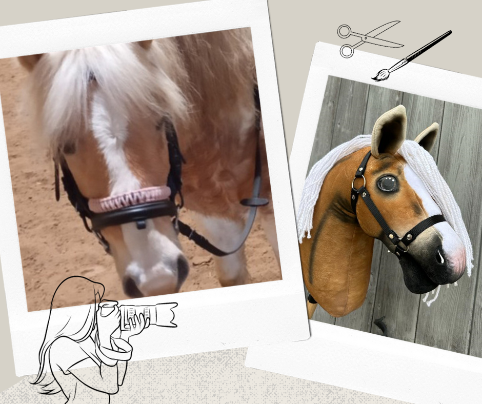 Hobby Horse gebaseerd op jouw foto