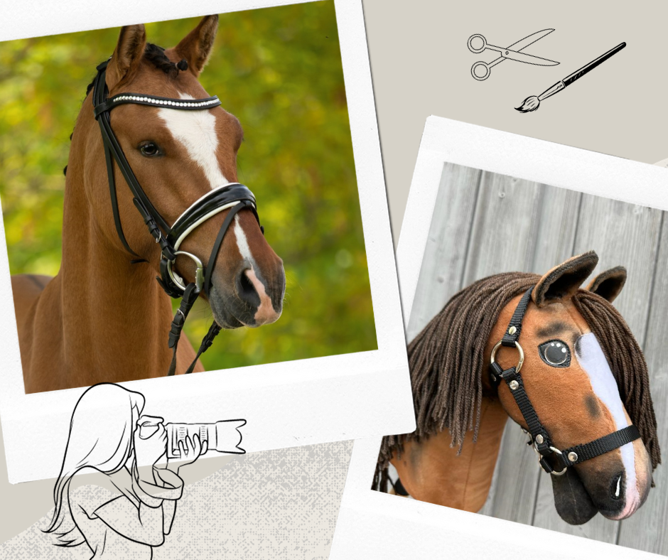 Hobby Horse gebaseerd op jouw foto