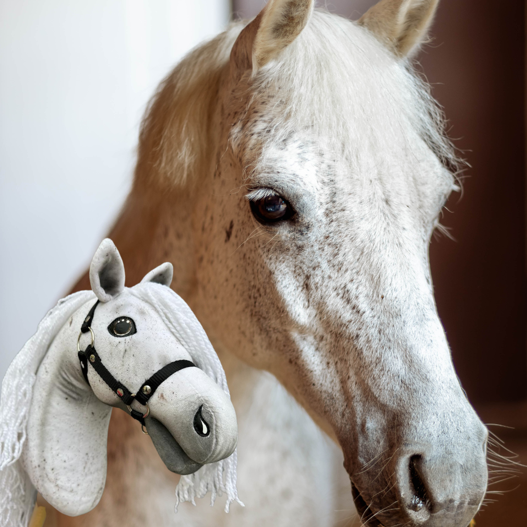 Hobby Horse gebaseerd op jouw foto