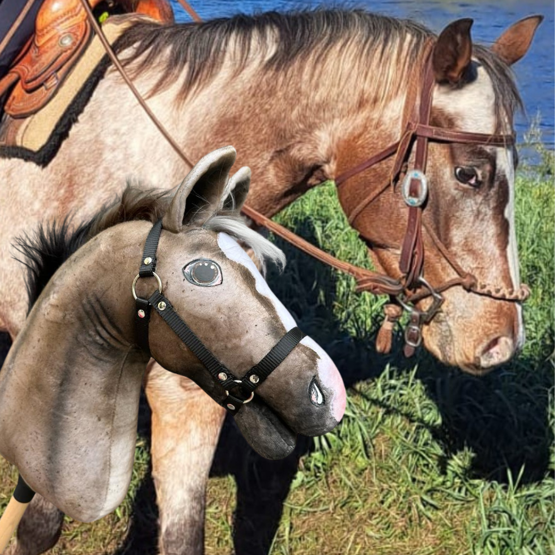 Hobby Horse gebaseerd op jouw foto