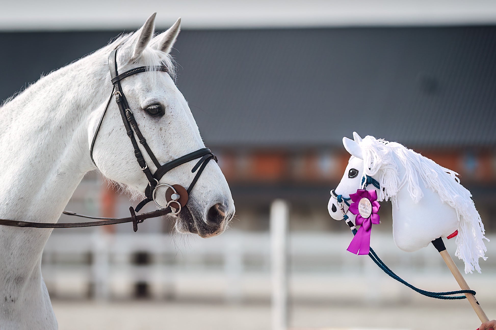 Hobby Horse gebaseerd op jouw foto