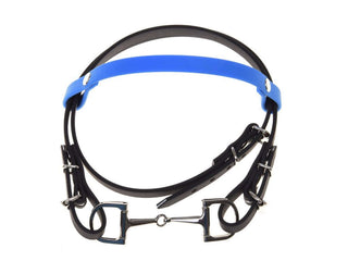 Hoofdstel met blauwe Hoofdband (maat S)