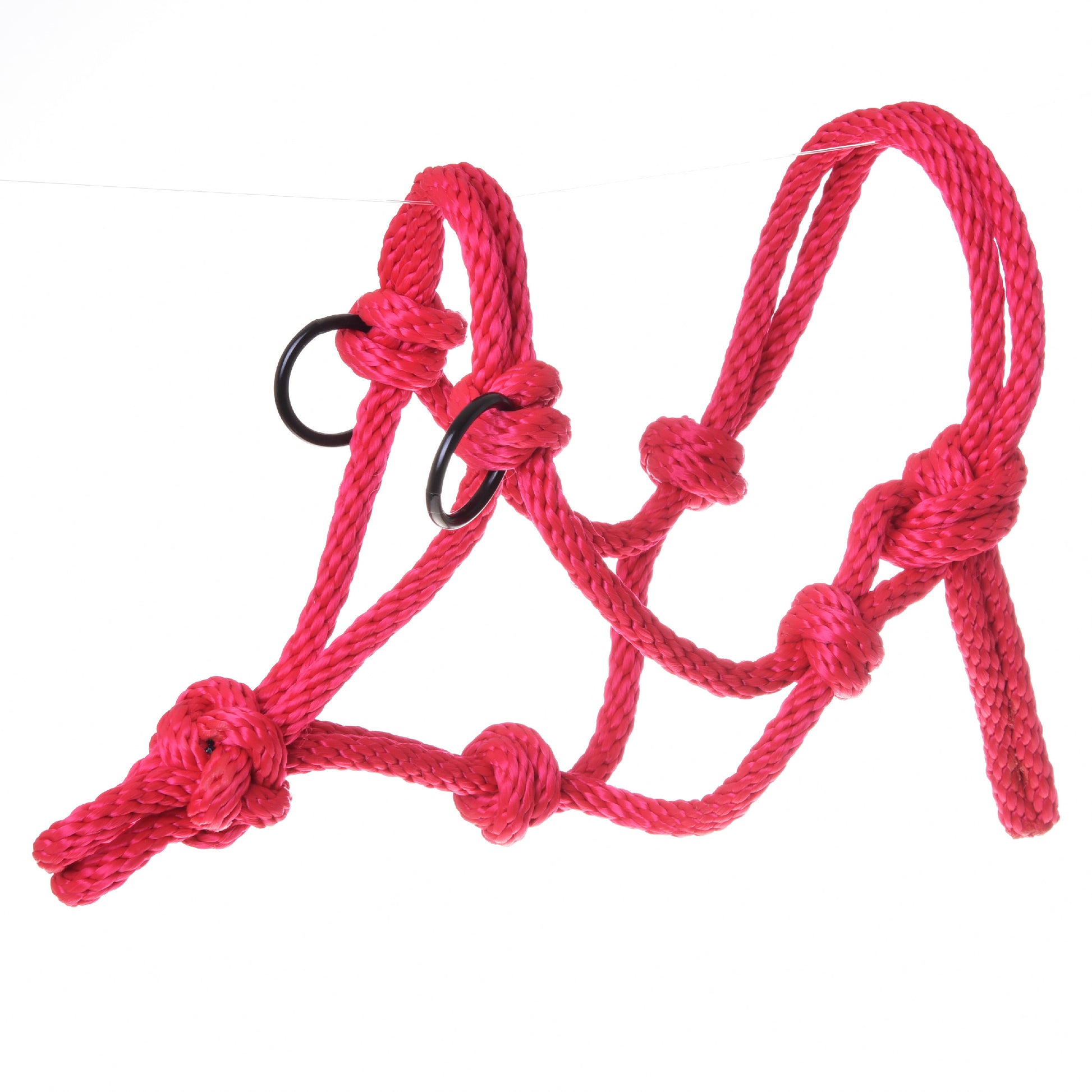 Rope halter red