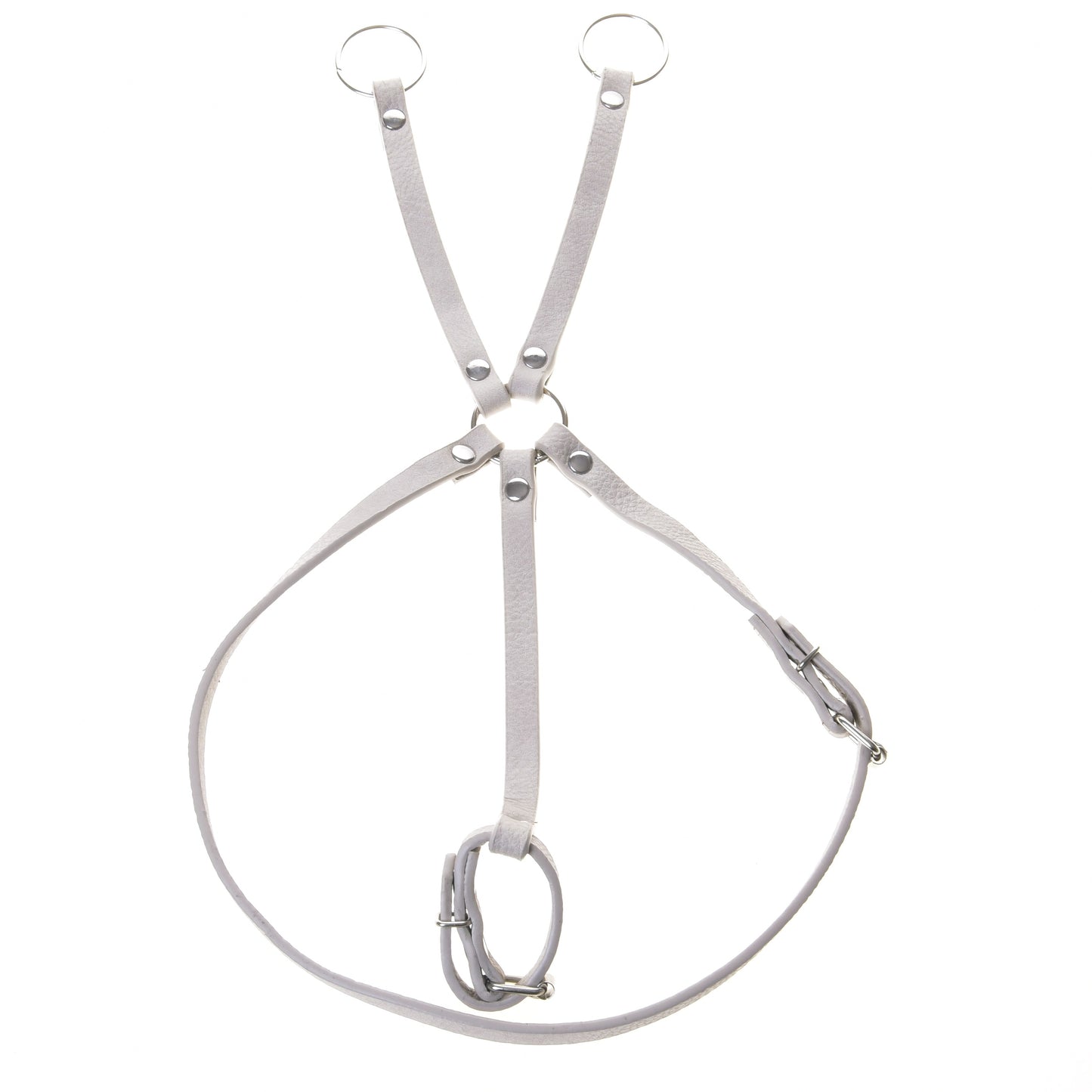 Aqua kunstleer set - hoofdstel, teugels en martingaal