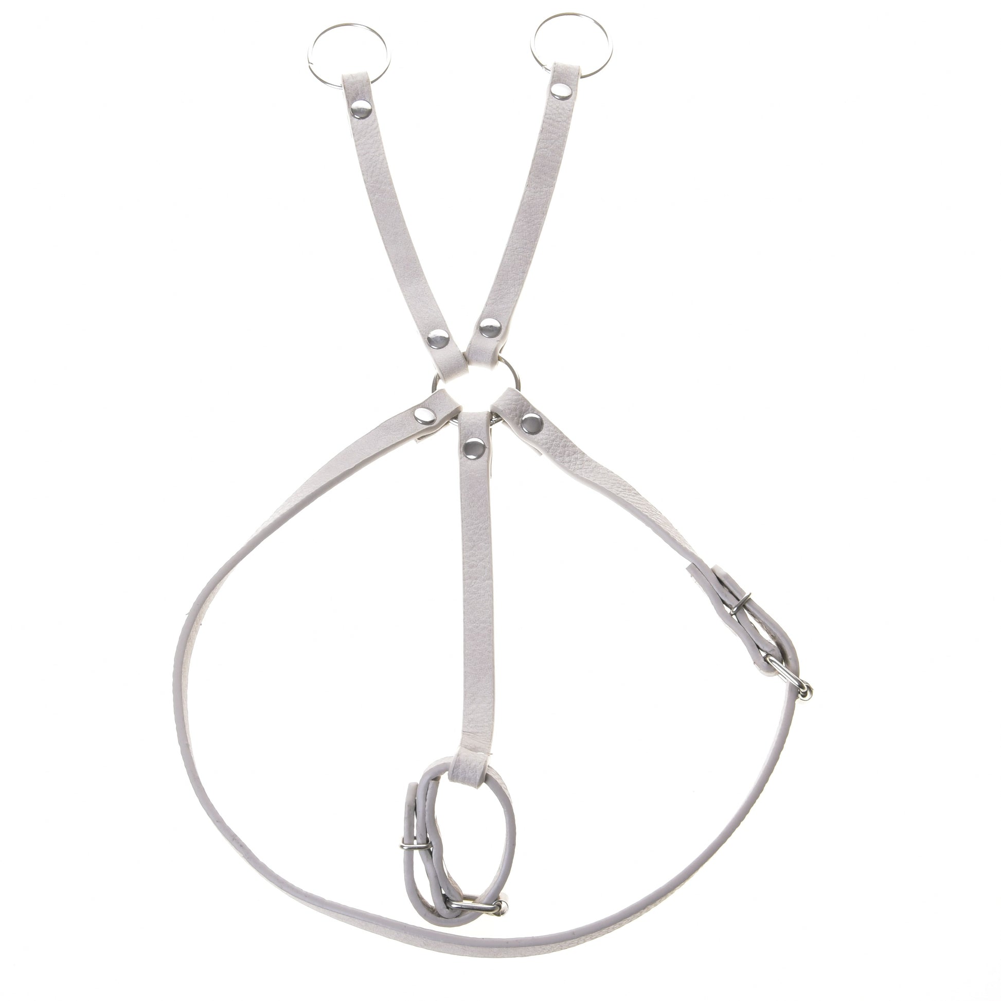 Aqua kunstleer set - hoofdstel, teugels en martingaal