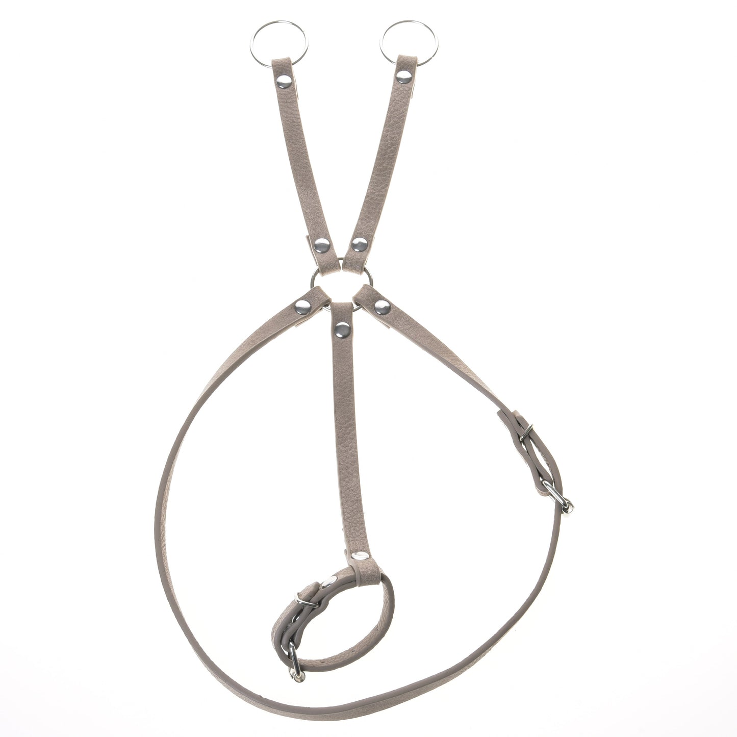 Bordeaux kunstleer set - hoofdstel, teugels en martingaal