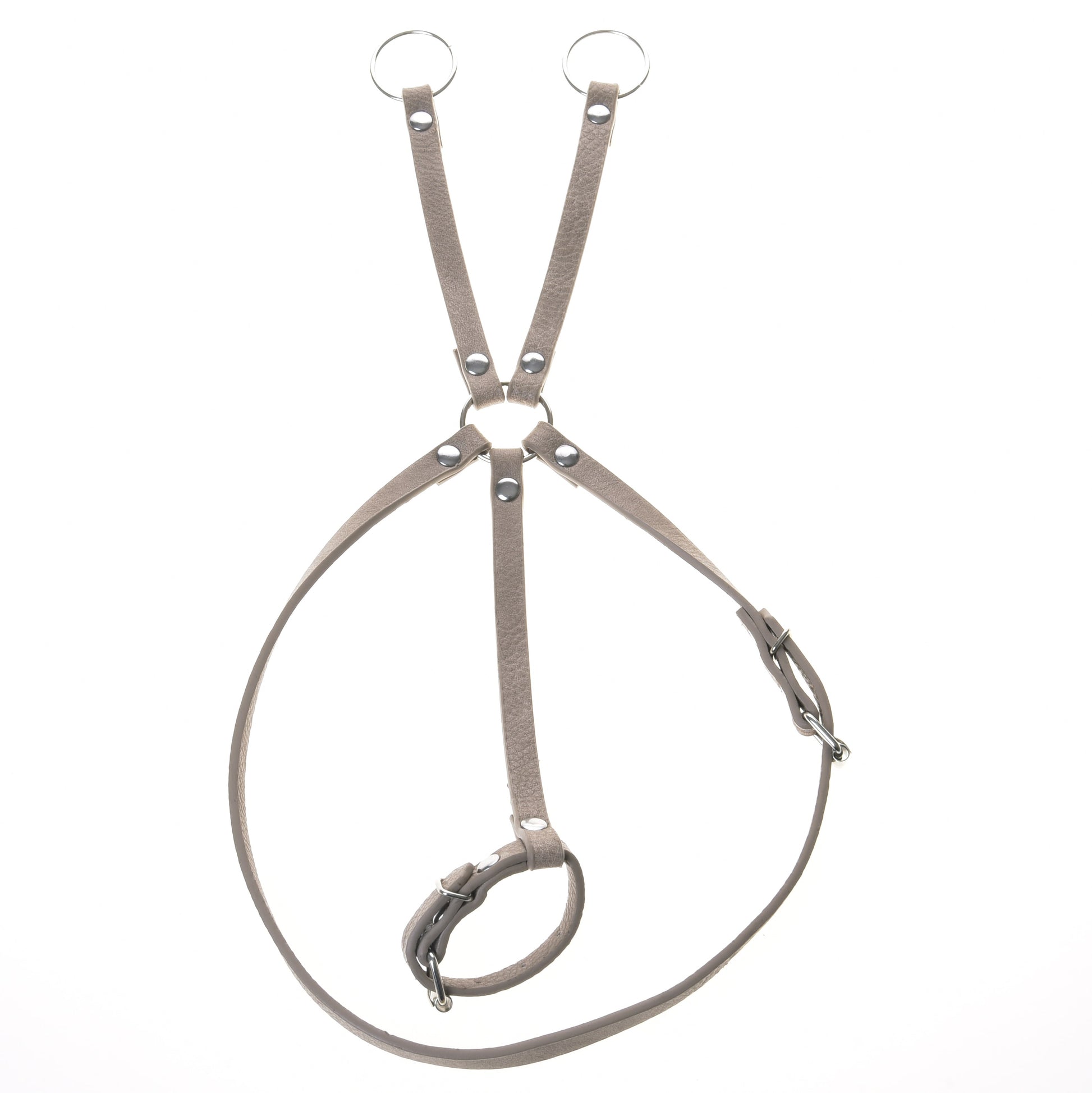 Bordeaux kunstleer set - hoofdstel, teugels en martingaal