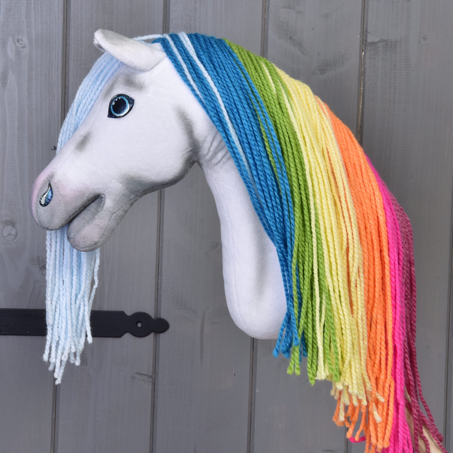 Hobby Horse Regenboog met Turquoise Halster